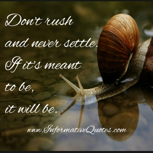 Dont-rush-Never-settle.jpg- Informative quotes